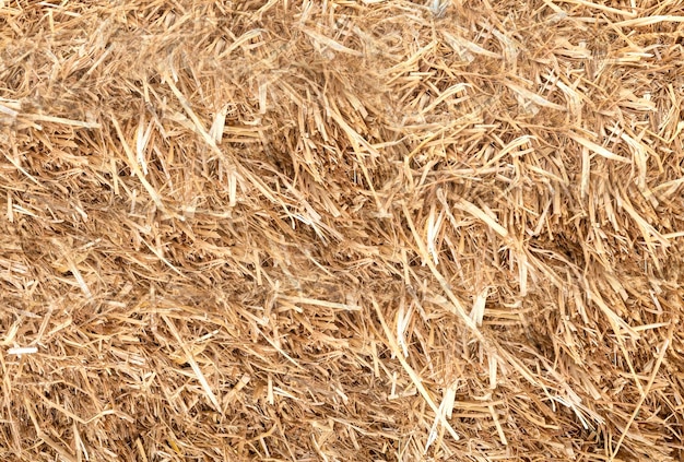 Bundle of straw