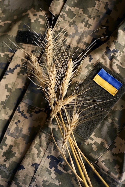 Bundle of wheat spikes with Ukrainian flag ribbon on military uniform as background Concept of food supply crisis and global food scarcity because of war in Ukraine