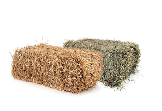 Bundles of straw and hay