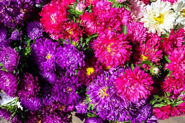 Bunga krisan Chrysant Flowers are flowering plants of the genus Chrysanthemum