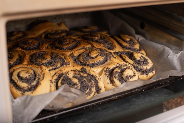 Buns with poppy seed baking in electric oven Cooking at home bakery concept