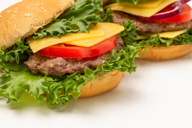 Burger bun on lettuce leaf with cheese and tomatoes