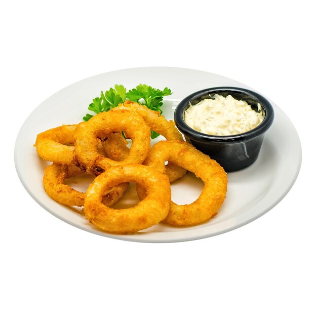 Burger fast food on plates on white background