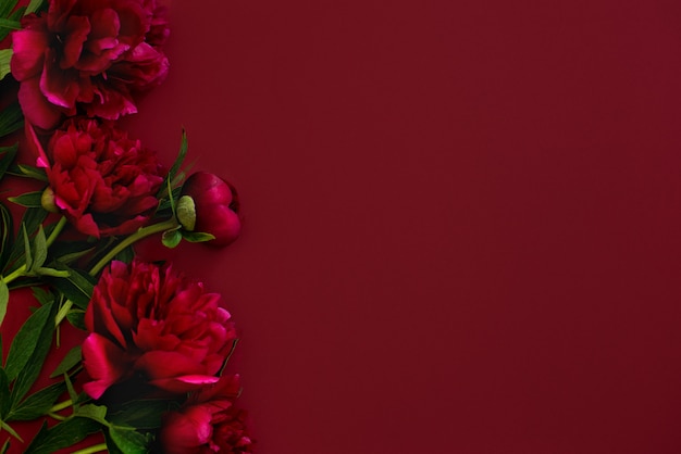 Burgundy peonies on a Burgundy background. 