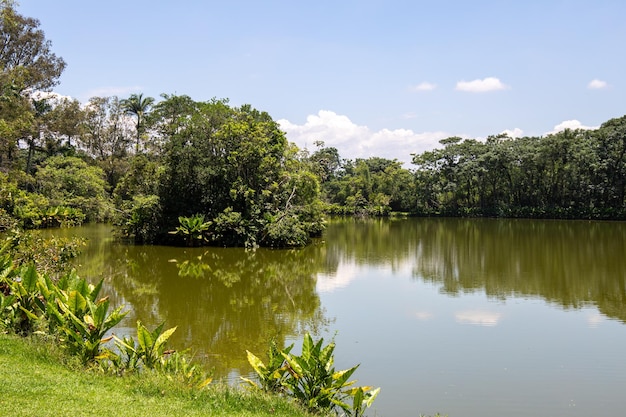 Burle Marx park City Park in Sao Jose dos Campos Brazil Beautiful lake with typical trees