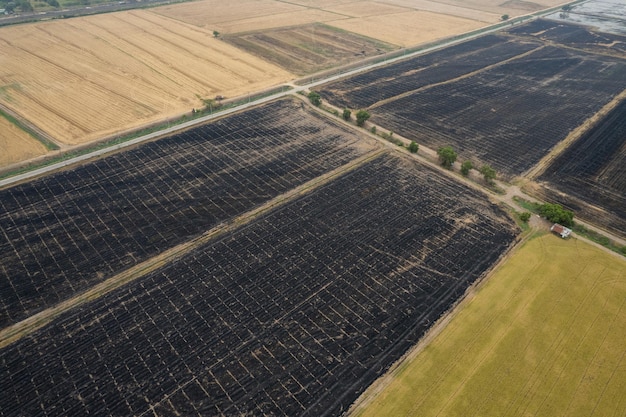 Burn rice fields aerial view from flying drone of Field rice Forest fires