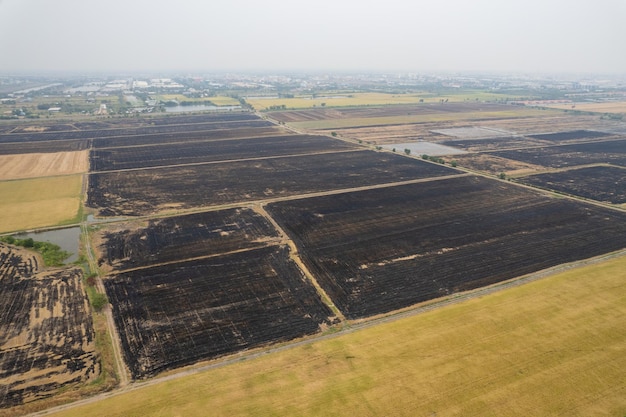 Burn rice fields aerial view from flying drone of Field rice Forest fires