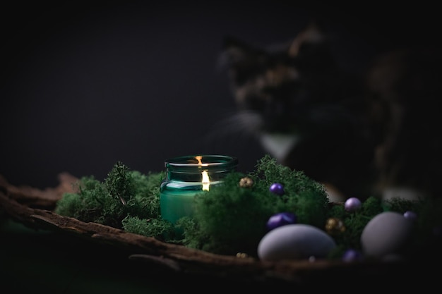 A burning candle in a glass jar in the bark of a tree with moss precious ritual stones and a blurred cat