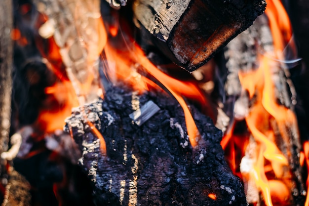 Burning charcoal embers firewood with ashes and flames