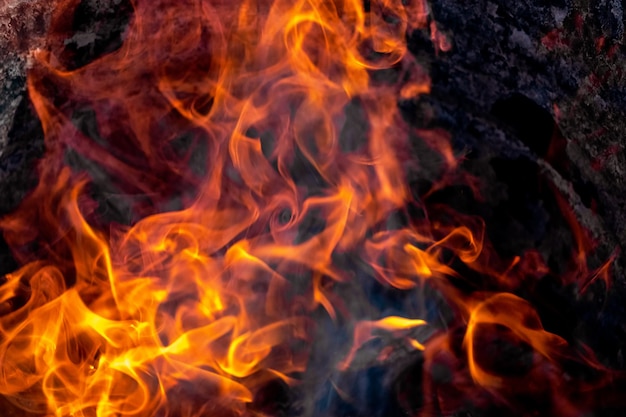 Burning fire close up Bright orange and red flames on a dark background Open flame heating Problems with heating and gas