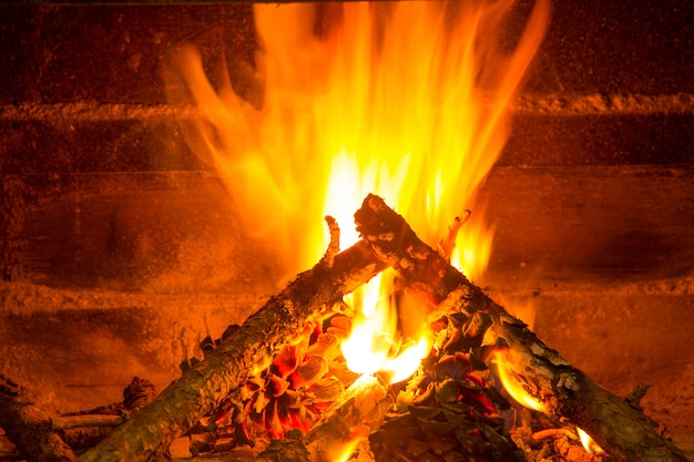 burning firewood in chimney with pine cones