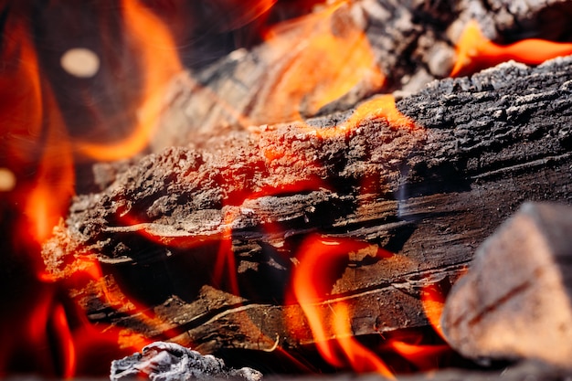 Burning firewood in the grill close up