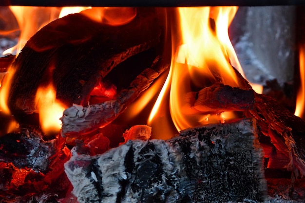 Burning firewoods A picnic in nature concept Macro photography of flame Outdoor background