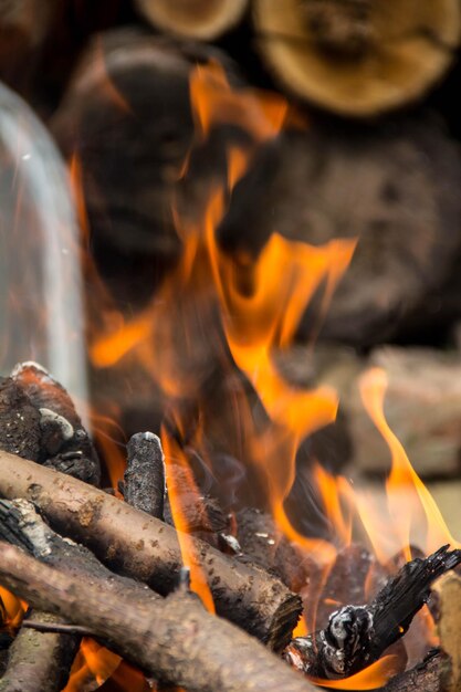 Burning logs in a brazier The flames on the background of the harvested wood