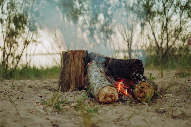 Burning logs of wood in campfire