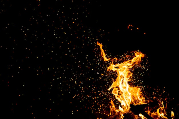 Burning woods with fire sparks, flame and smoke. Strange weird odd elemental fiery figures on black night.