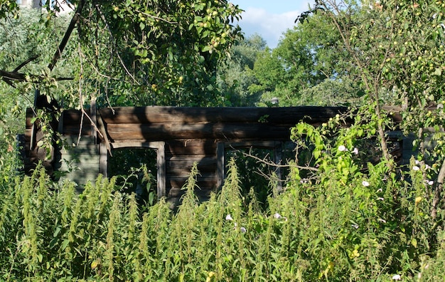 Burnt old house overgrown with grass Moscow region Russia