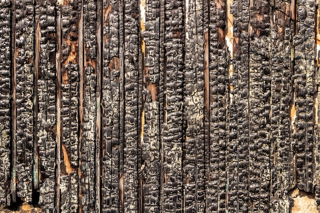 Burnt wooden fence. The texture of the charred wooden boards.