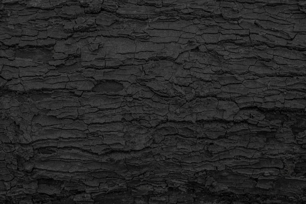 Burnt wooden texture background