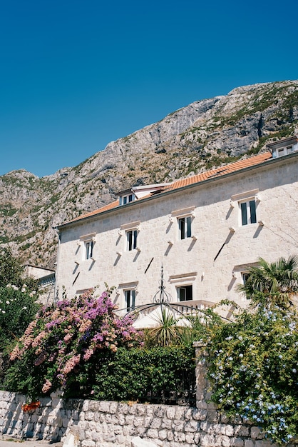 Bushes of pink bougainvillea and blue jasmine grow in the garden near an old stone house