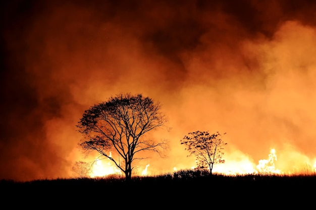 Bushfire burning orange and red smoke filled the sky at night