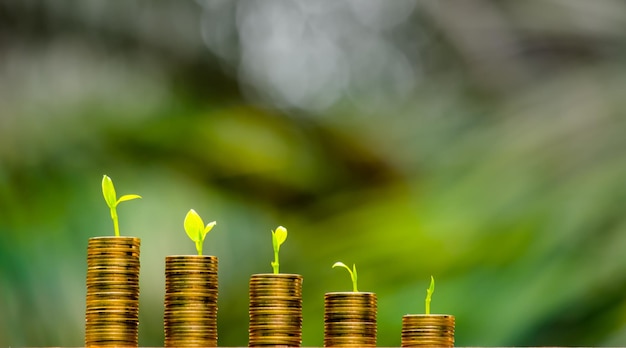 Business Finance and Money conceptSave money for prepare in the futuretree growing on coin of stacking gold coins with green bokeh background