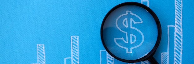 Business graph with dollar icon and lens blue background