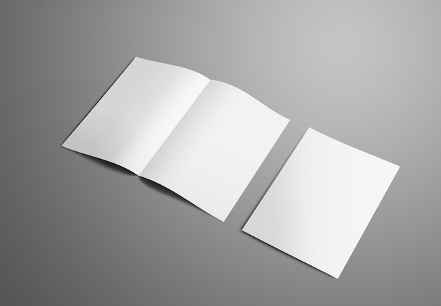 business mockup with two  a4 a5 bifold brochure with realistic  shadows isolated on background