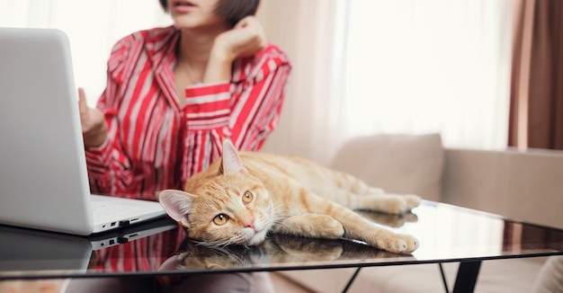 Business woman in a red shirt with a ginger cat at home