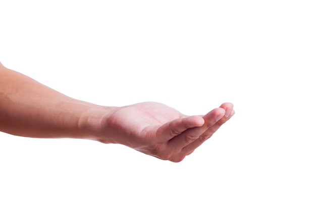 Businessman hand on white background.