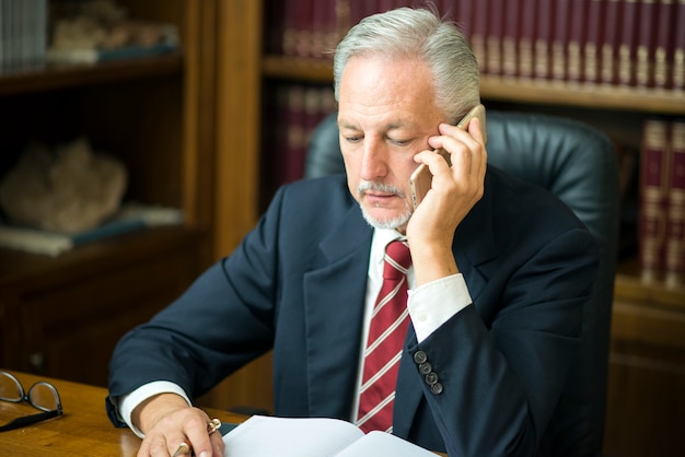 Businessman using his mobile phone while reading his agenda