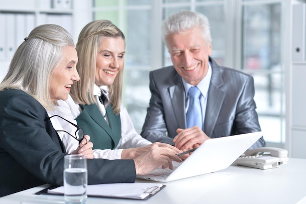 Businesspeople using laptop