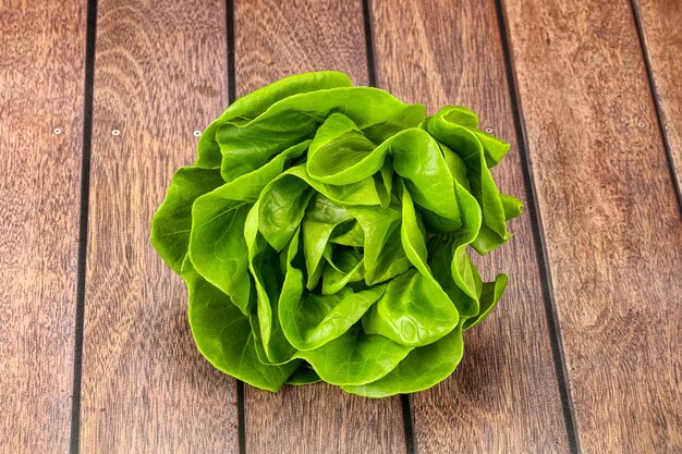 Butter lettuce salad green leaves over wooden background