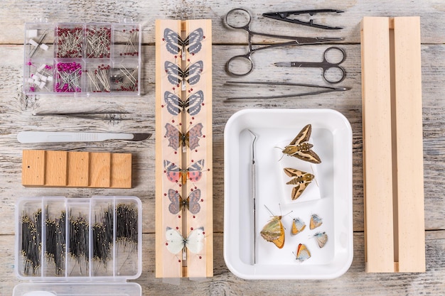 Butterflies and tools