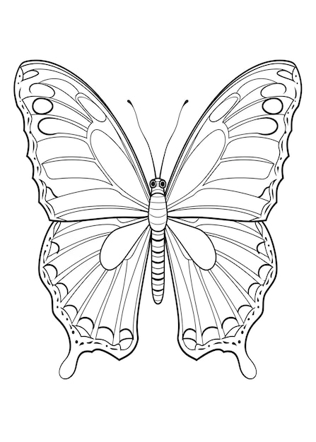 Butterfly Coloring Page Butterfly Line Art coloring page Butterfly Outline Illustration For Coloring Page Animals Coloring Page Butterfly Coloring Pages and Book AI Generative