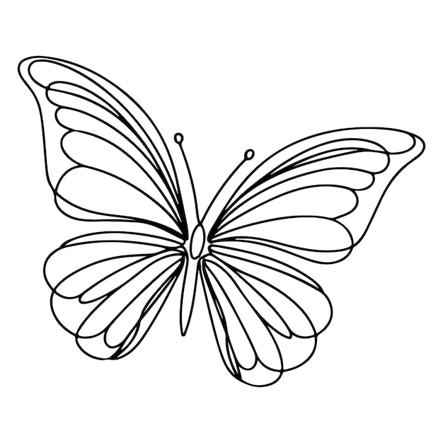 Photo butterfly contours doodle silhouettes element vector illustration on white background one continuou