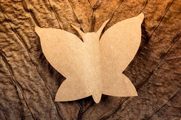 Butterfly cut of paper on brown paper