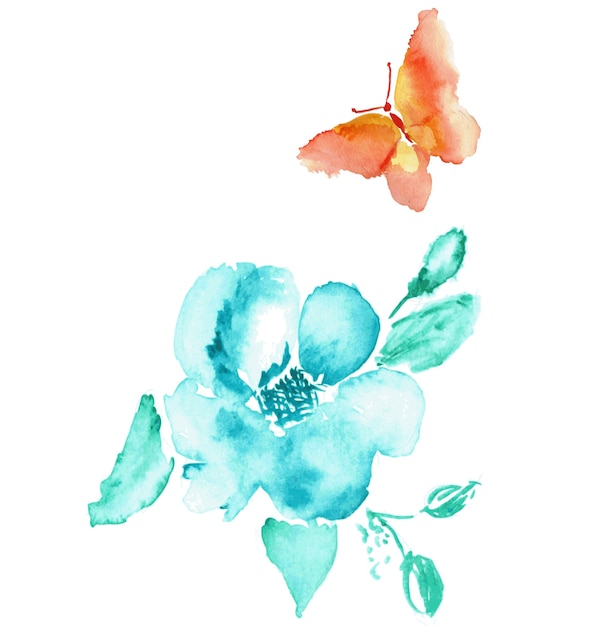 Butterfly and flower watercolor drawing art isolated on white