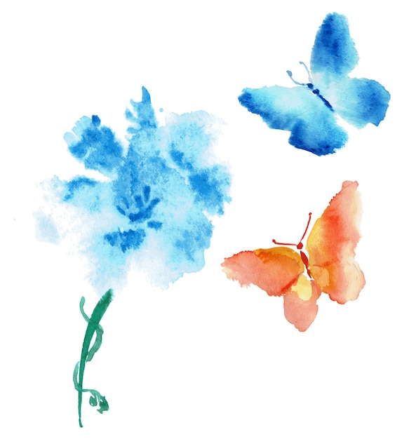 Butterfly and flower watercolor drawing isolated on white.