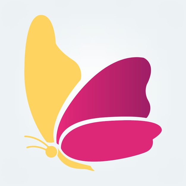 a butterfly with a yellow and pink butterfly on the bottom