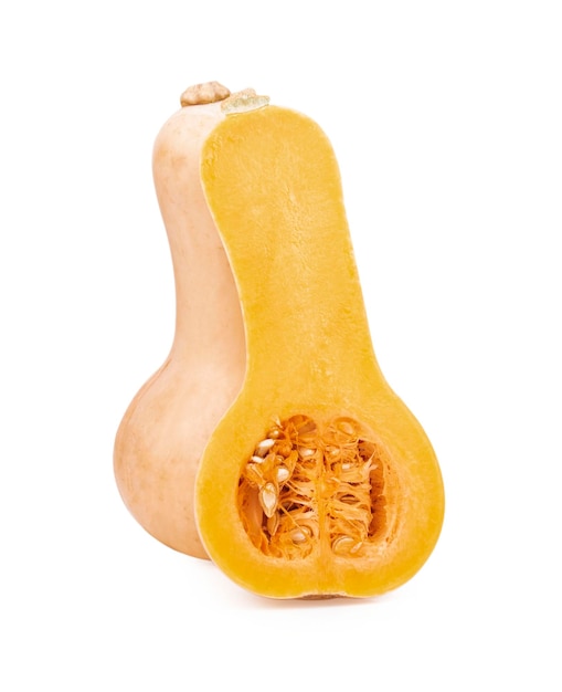 Butternut Pumpkin isolated on white background