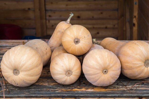 Butternut Pumpkins