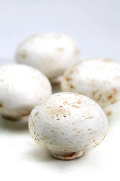 Button mushrooms against white background