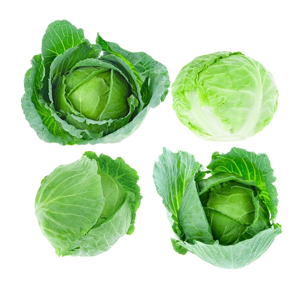 Cabbage isolated on white background