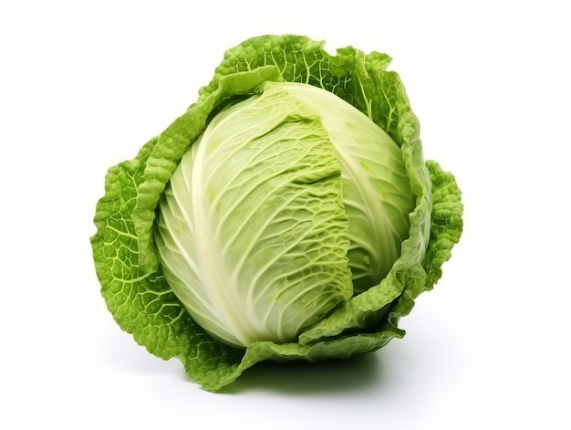 Cabbage isolated on a white background