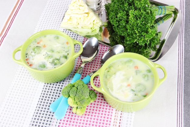 Cabbage soup in plates on tablecloth