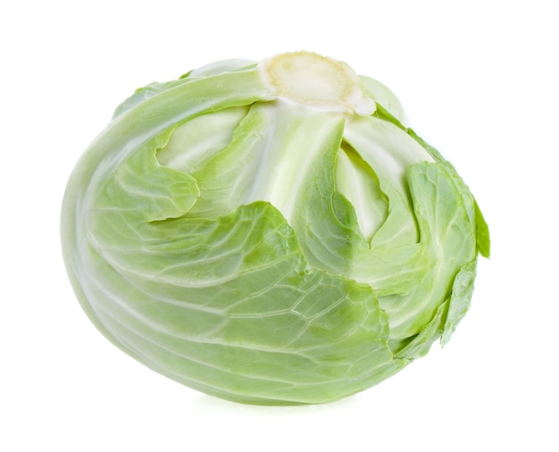 cabbage on white background