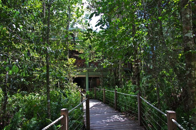 The cable car in Kuranda, Cairns, Australia