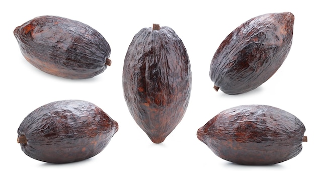 Cacao fruits pod isolated on white background. Cacao fruits pod collection clipping path