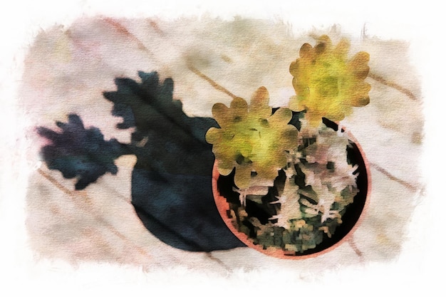 Cactus flowers in collection, Watercolor drawing